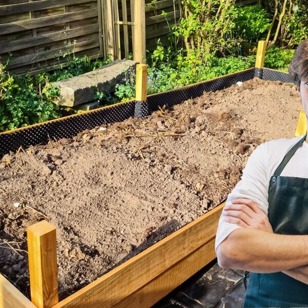 Turn your backyard into an Eden: The easy guide to building your own raised garden bed