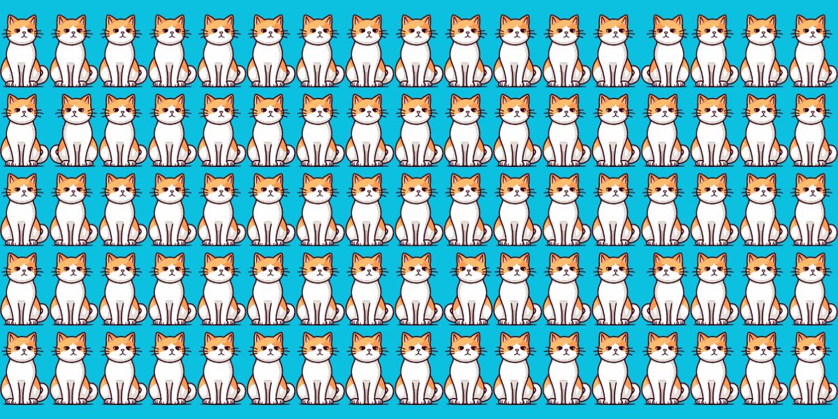 Beat the clock: can you spot the 4 odd cats in this thrilling visual brain teaser in under 20 seconds?
