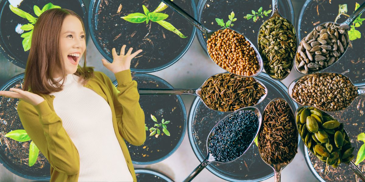 Starten Sie Ihre Reise mit grünem Daumen: Ein Leitfaden für Anfänger, wie Sie Ihre Pflanzenfamilie zu Hause aus Samen gründen können