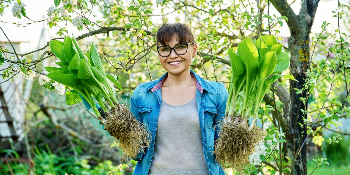 Gartenarbeit mit kleinem Budget: Entdecken Sie 6 Spartipps für grüne Daumen